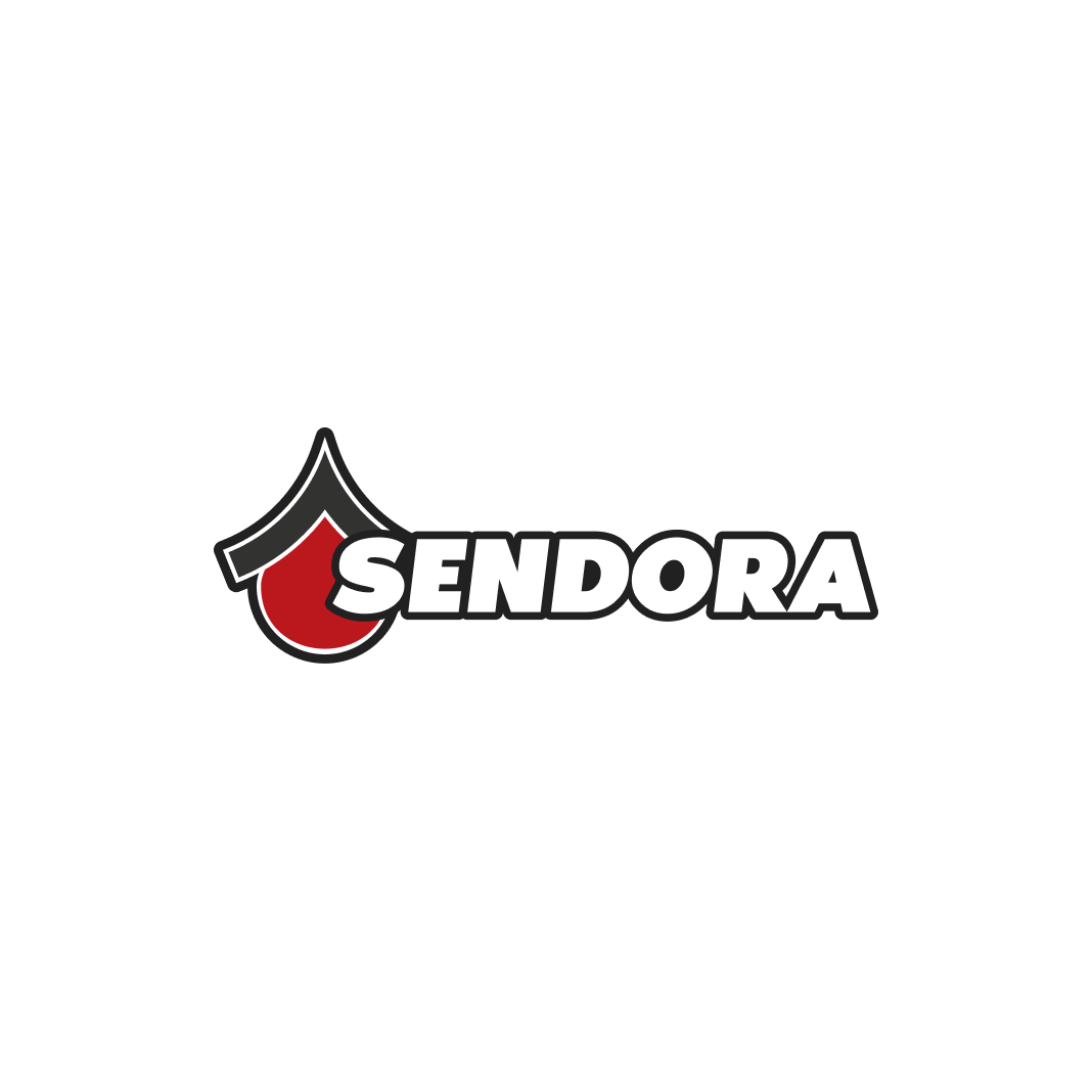 Обложка статьи: Разработка многоязычного корпоративного сайта для Sendora Global с кастомной админ-панелью